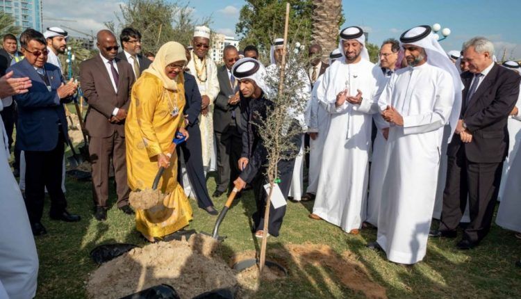 Planting 400 Trees