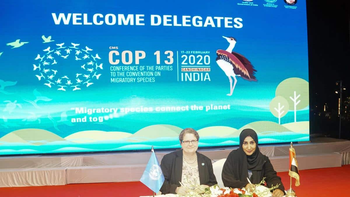 UN & UAE Partnership for Protecting Migratory Species | UAE VOICE
