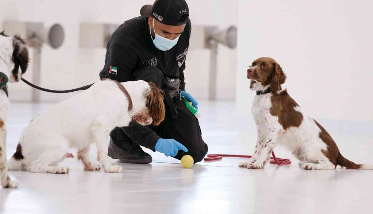 Police Dogs